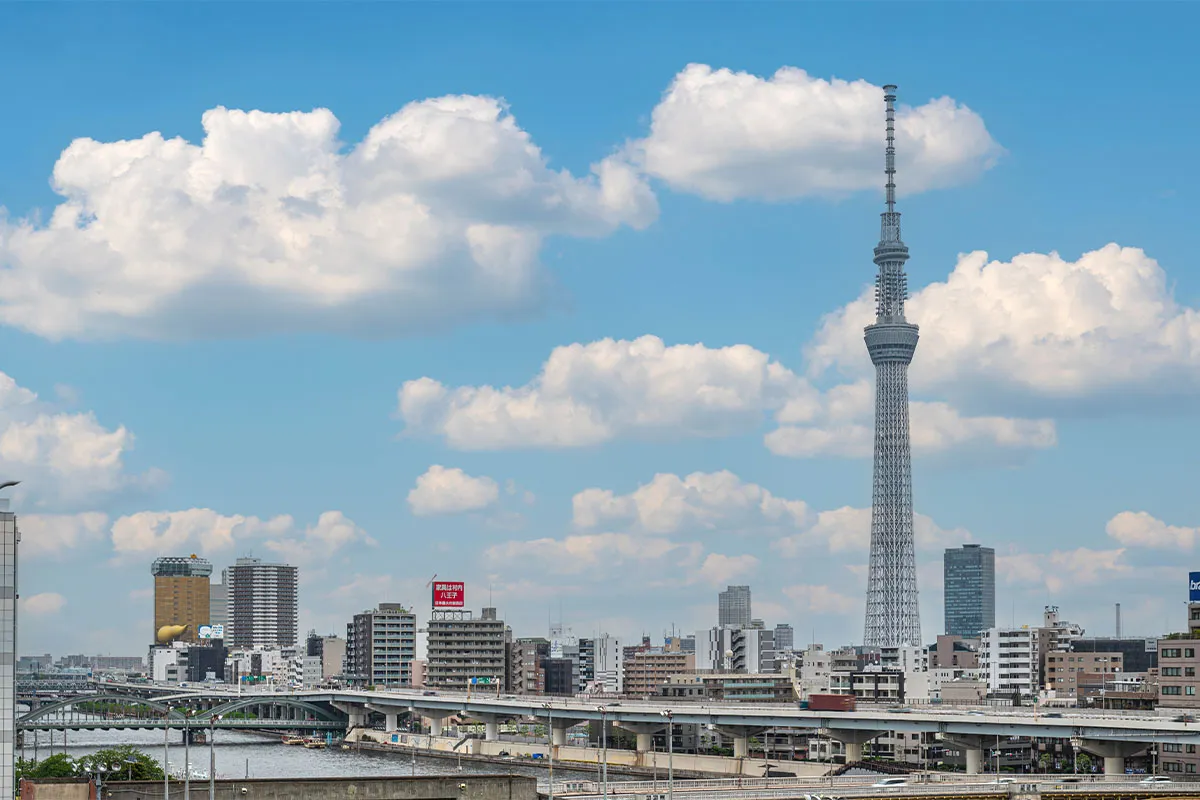 昼間の景色